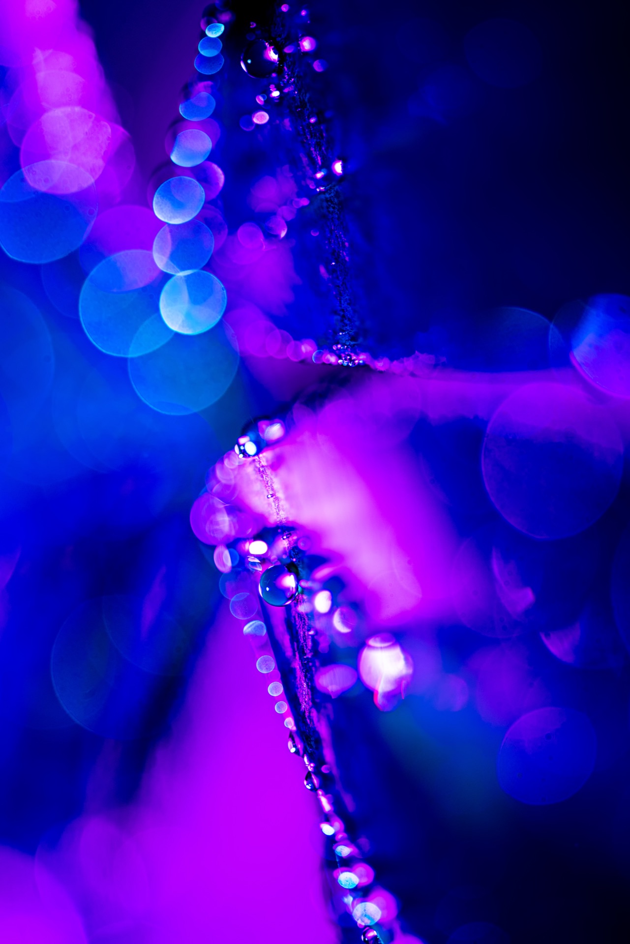 Team collaborating in front of data dashboards